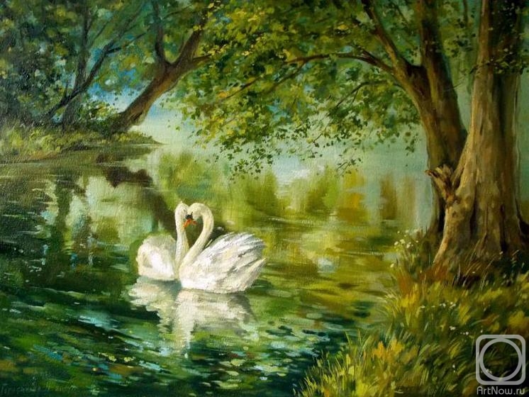 Gerasimova Natalia. Swans
