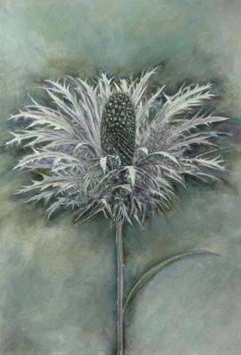 ������� ������������