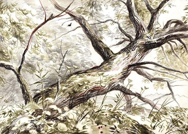 �������. ������� �������. ��� ��� ��������