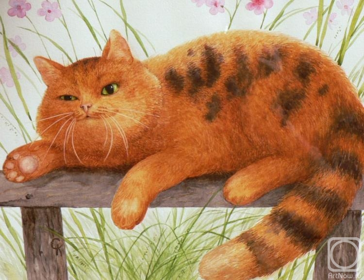 Katkova Svetlana. Cat Ogonyok