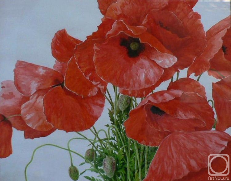 �������. ������� ��������. ����