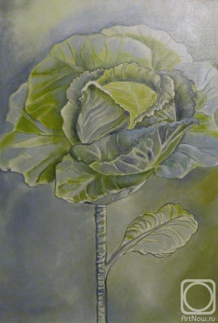 Zozoulia Maria. Cabbage
