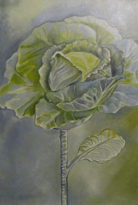 Cabbage. Zozoulia Maria