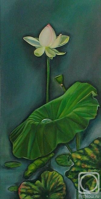 ������� ������ �� ������. ������ �����. ������