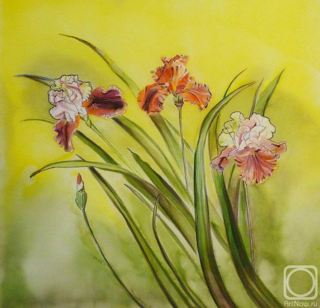 ������ �����. �����