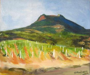 Crimea. The vineyards