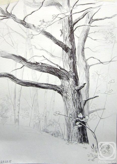 �������. ������� �������. 29/09/2015