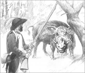 ̨����� �����