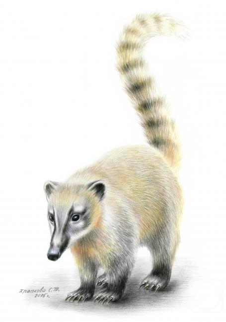 �������. �������� ��������. ������