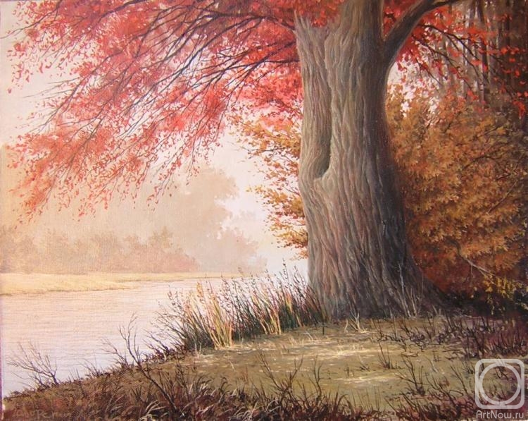 ������� ������ �� ������. ��������� �����. �����