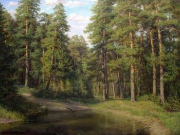 The sun in the pine forest. Zaytsev Vitaliy
