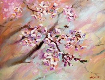 ������� ��������� �������