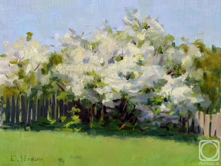 ������� ������ �� ������. ����� �������. ���������