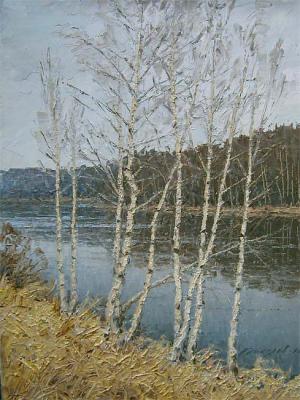 Late autumn. Gaiderov Michail