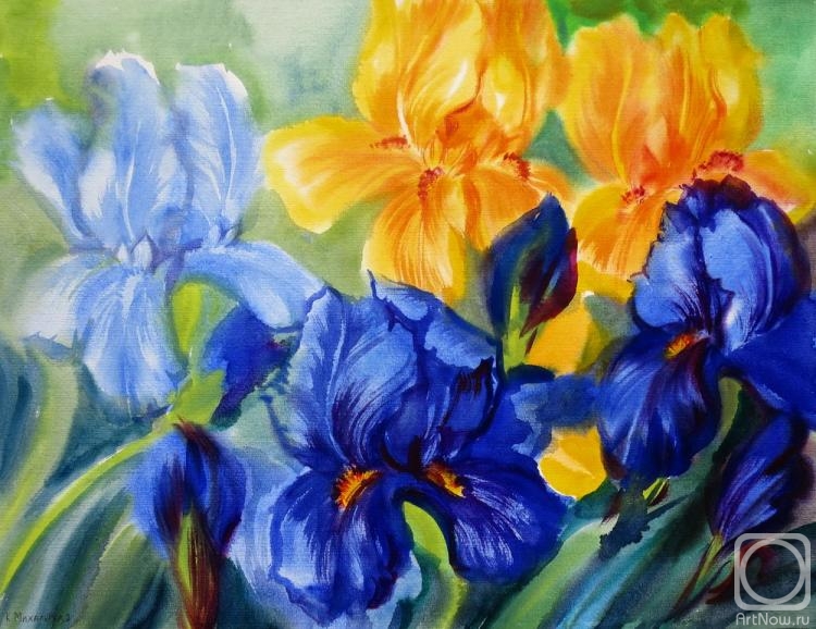 �������. ���������� ���������. ����� �����