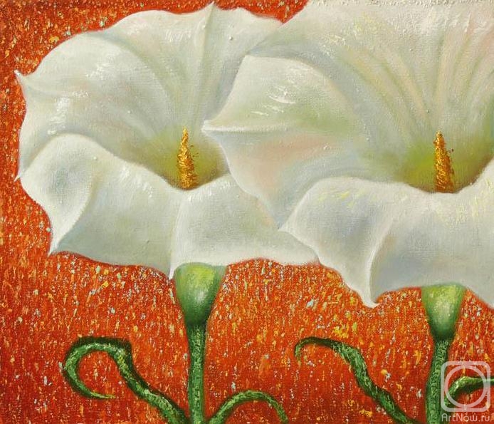 ������� ������ �� ������. ������� �������. �������� �����