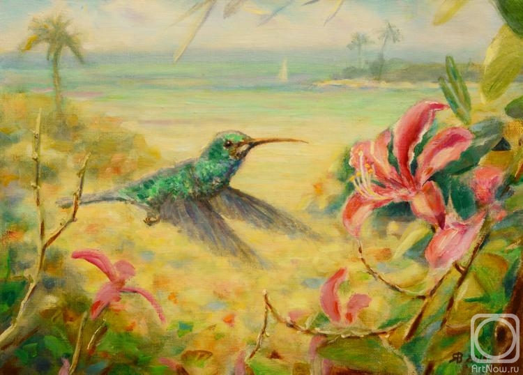 Yaskin Vladimir. Hummingbird. Jamaica