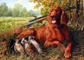 After the Hunt (Irish Setter). Danchurova Tatyana
