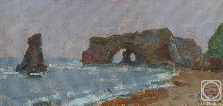 Panov Igor. Coast of Sakhalin