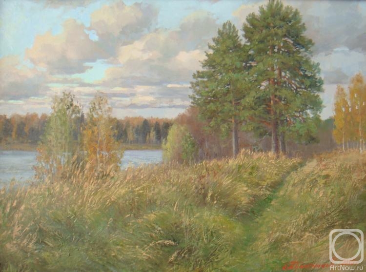 Plotnikov Alexander. Pine trees on the high bank