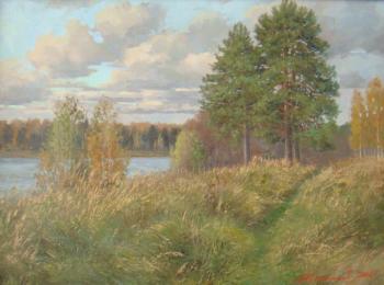 Pine trees on the high bank. Plotnikov Alexander
