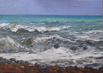 Er 1343 :: The Black Sea. Surf (Crimea). Ershov Vladimir