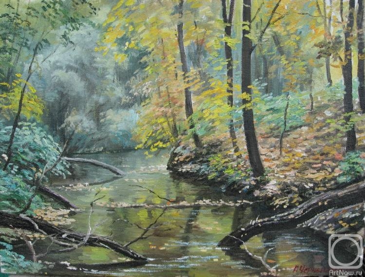 Chernyshev Andrei. Autumn, forest stream