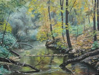 Autumn, forest stream. Chernyshev Andrei