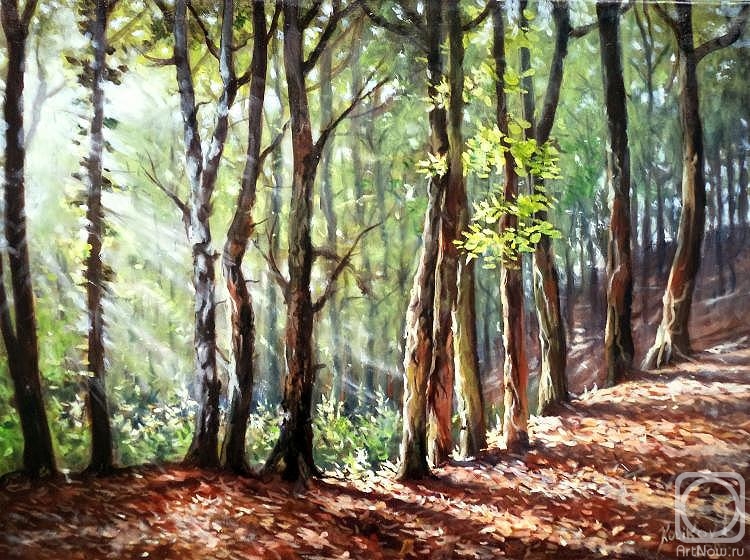 kulikov dmitrii. In the forest