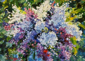 ������� �C�������� ����������