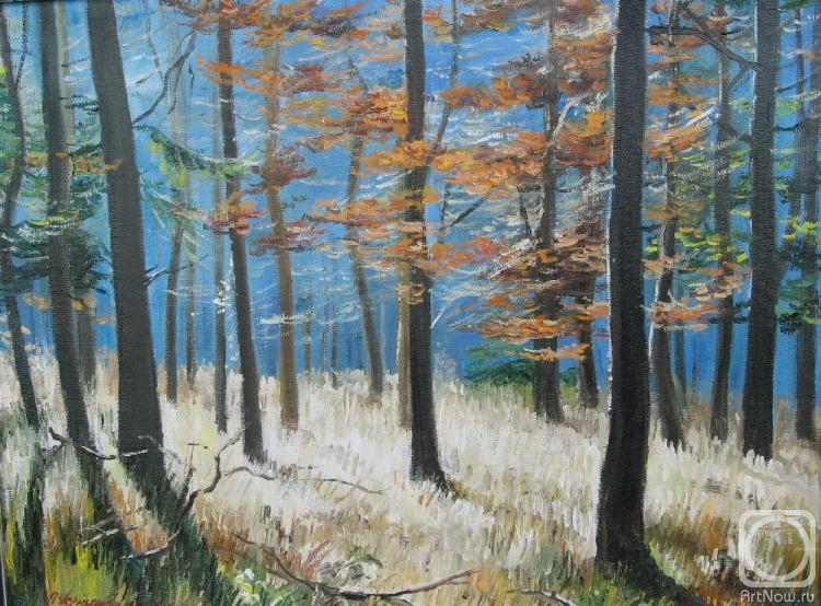 Chernyshev Andrei. Autumn, sunny forest