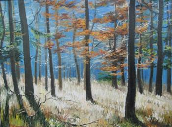 Autumn, sunny forest. Chernyshev Andrei