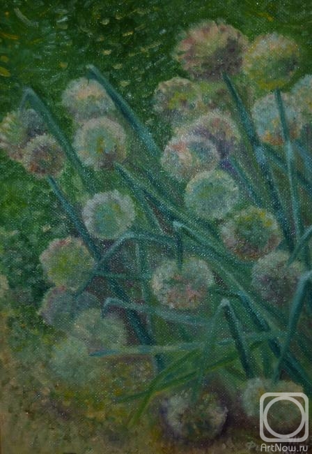 �������. ������ �������. ������ �������� ���