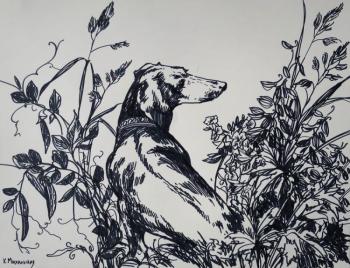 ������� ������ �� �����