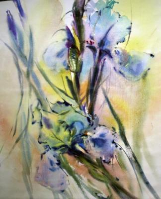Irises. Manoli Elena
