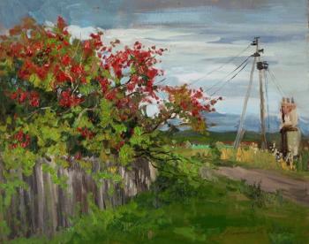 ������� ��� ���� �������