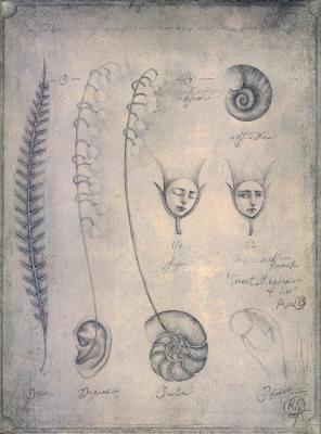 Secret Herbarium of Leo, folio 13. Rumak Svetlana