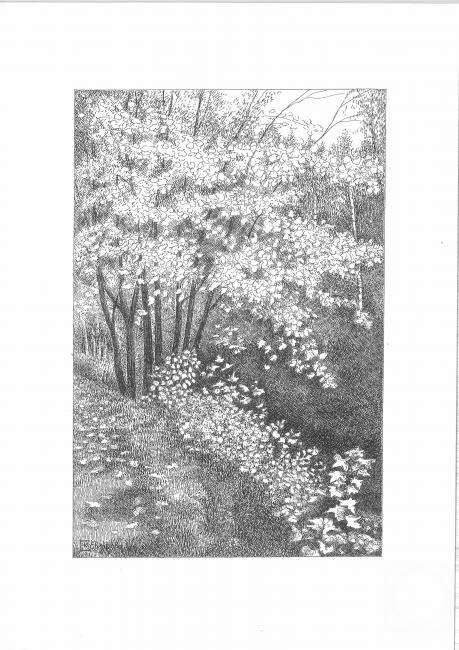 �������. �������� �����. ��������