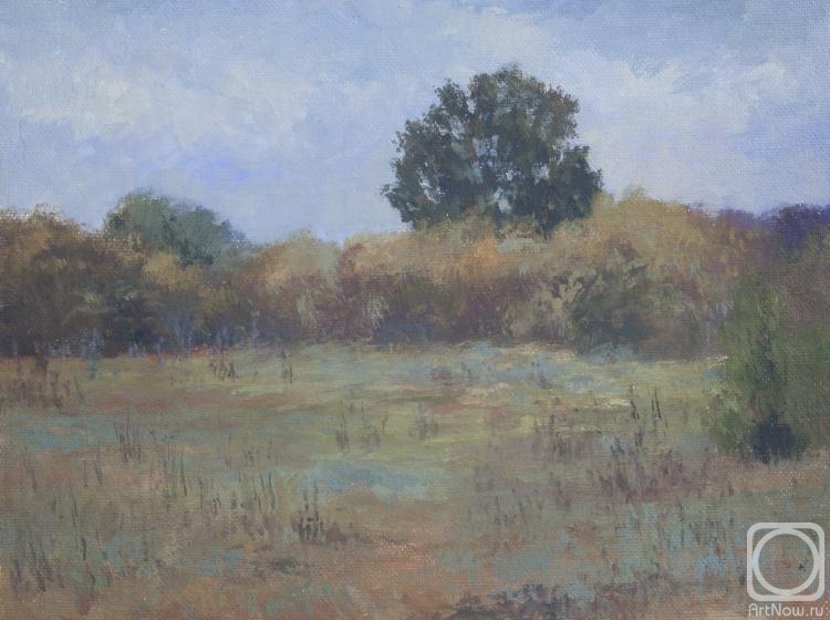 Bravkov Vladimir. Autumn morning