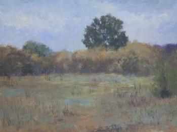 ������� �������� ����