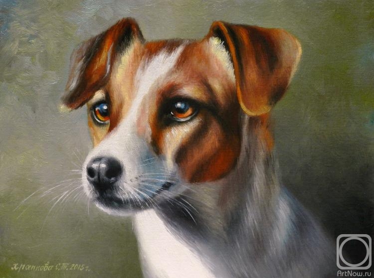 ������� ������ �� ������. �������� ��������. ����-������-������