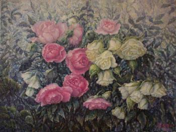 Roses in morning dew. Yakimets Olga