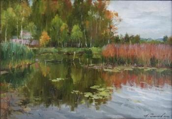 Valdai. The fairytale land (The Valdai Lake). Galimov Azat