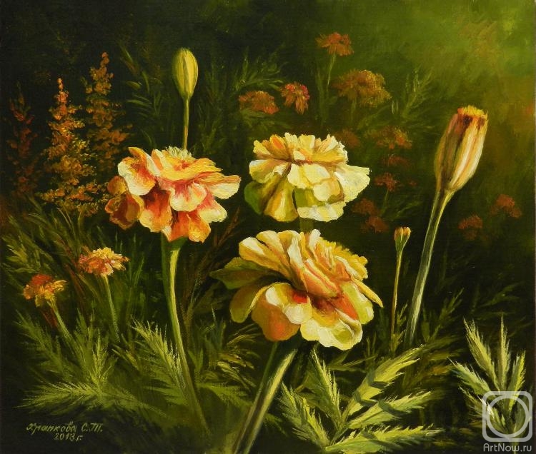 ������� ������ �� ������. �������� ��������. ��������. ����