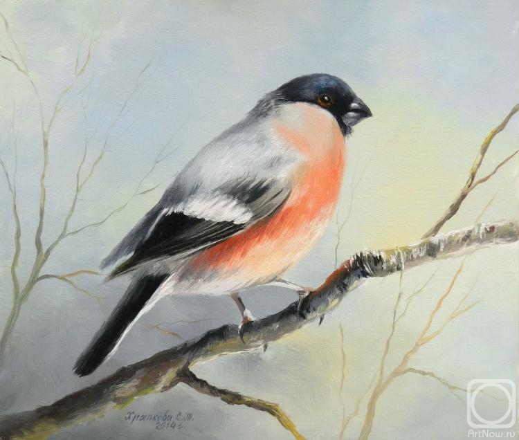 ������� ������ �� ������. �������� ��������. ������� � ������������ �����