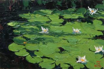 Overgrown pond (). Golovchenko Alexey