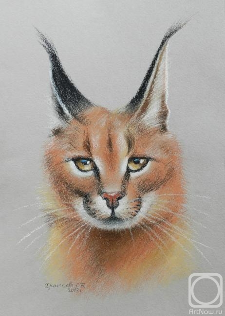 �������. �������� ��������. �������