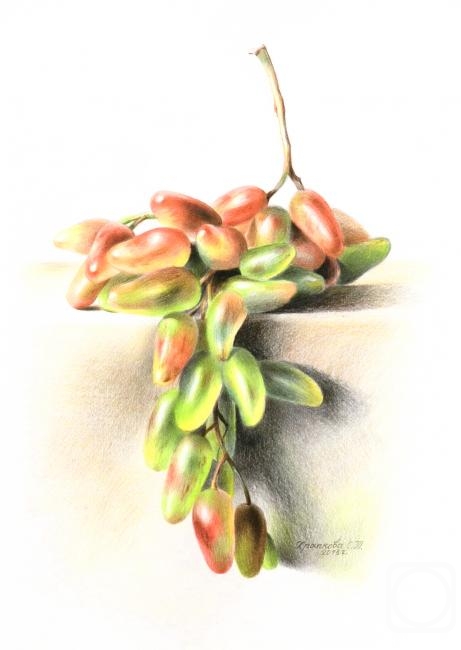 �������. �������� ��������. ������ ���������