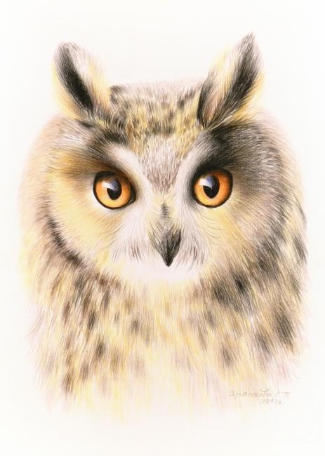 �������. �������� ��������. �����