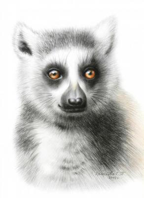 Cat lemur. Khrapkova Svetlana